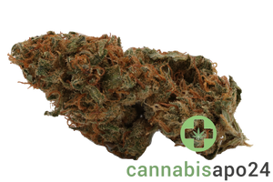 Remexian 16/1 White Widow