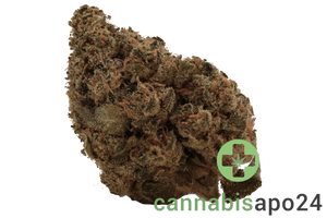 Remexian 27/1 OKC Orange Kush Cake