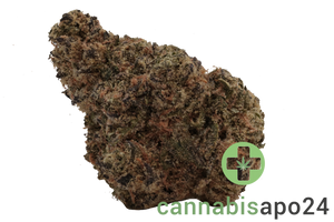Remexian 30/1 PRT SCK Strawberry Cookies