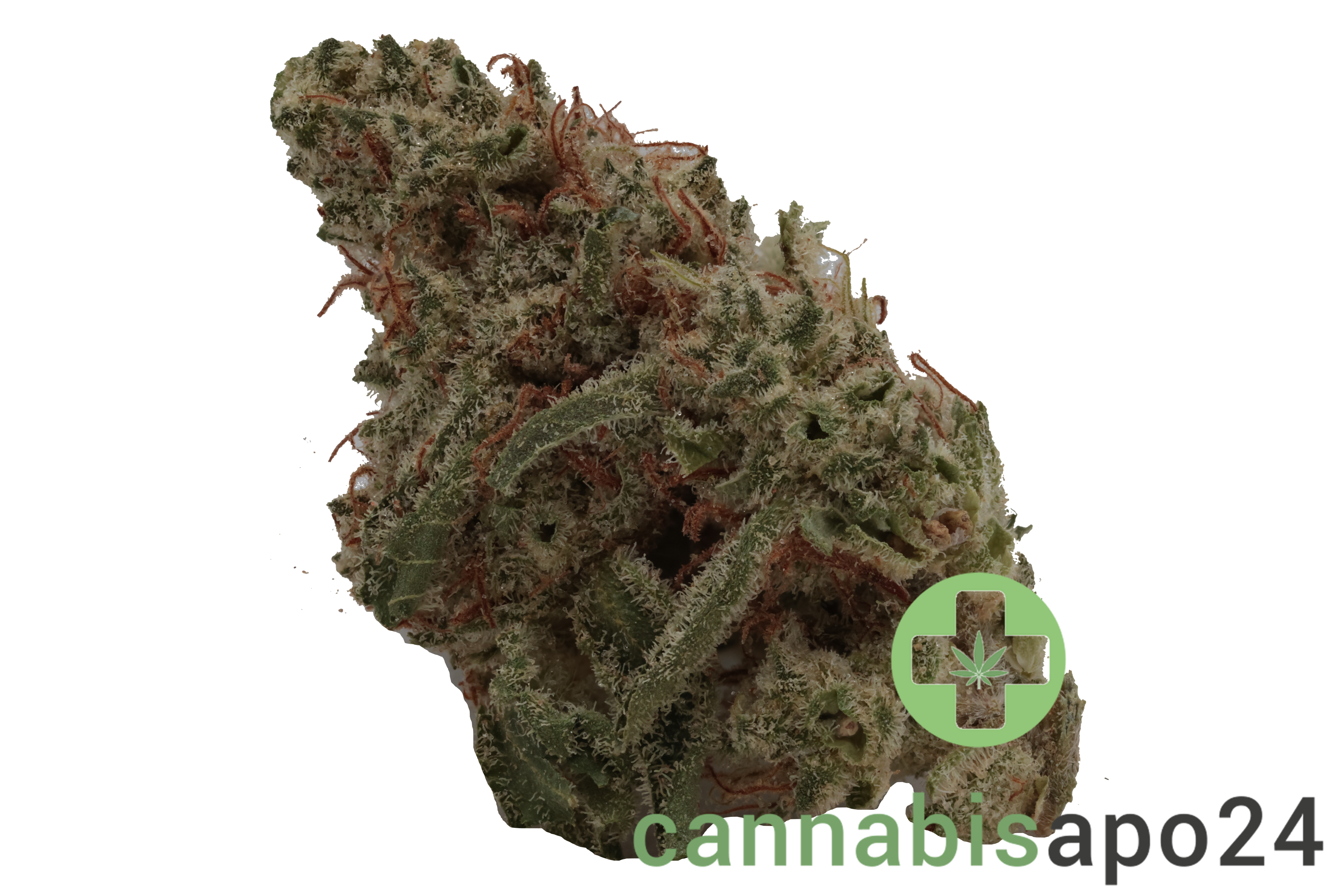 Sibanax Hybrid MCF 23/1
