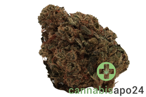 Soma OG 22/1 GG Gorilla Glue