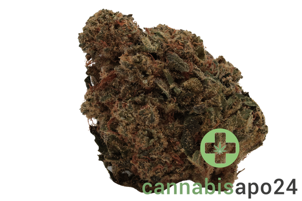 Soma OG 22/1 GG Gorilla Glue