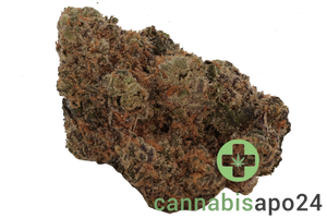 Soma OG 28/1 FG Gelato Sherb