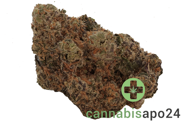 Soma OG 28/1 FG Gelato Sherb