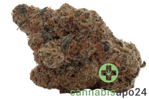 Soma OG 30/1 FG Ghost OG
