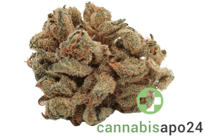 Tilray THC15 Spotlight Porto - Blue Dream