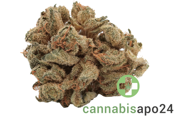 Tilray THC15 Spotlight Porto - Blue Dream