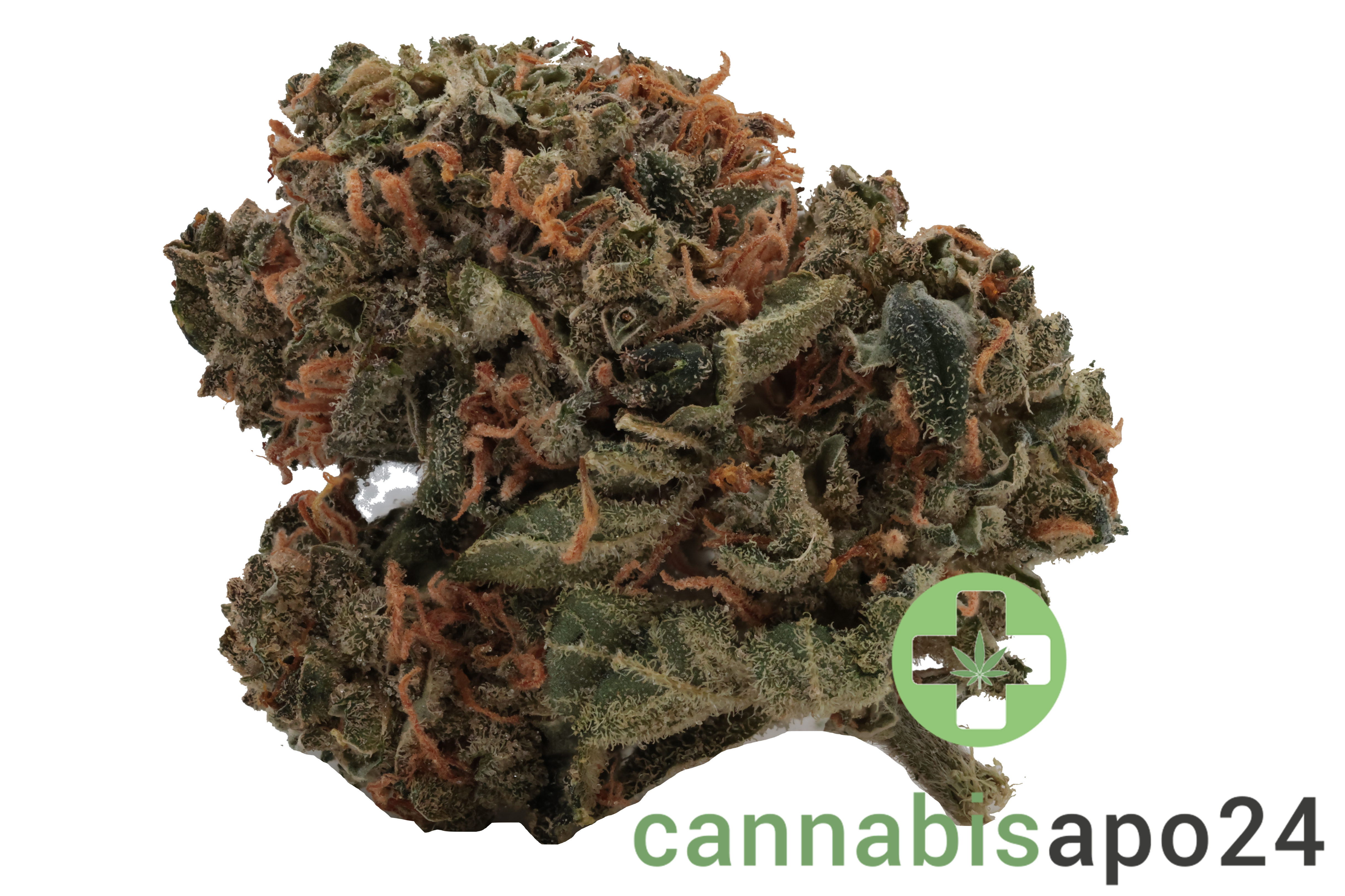 Tilray Craft 22/0 Jean Guy