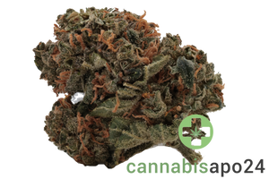 Tilray Craft 22/0 Jean Guy