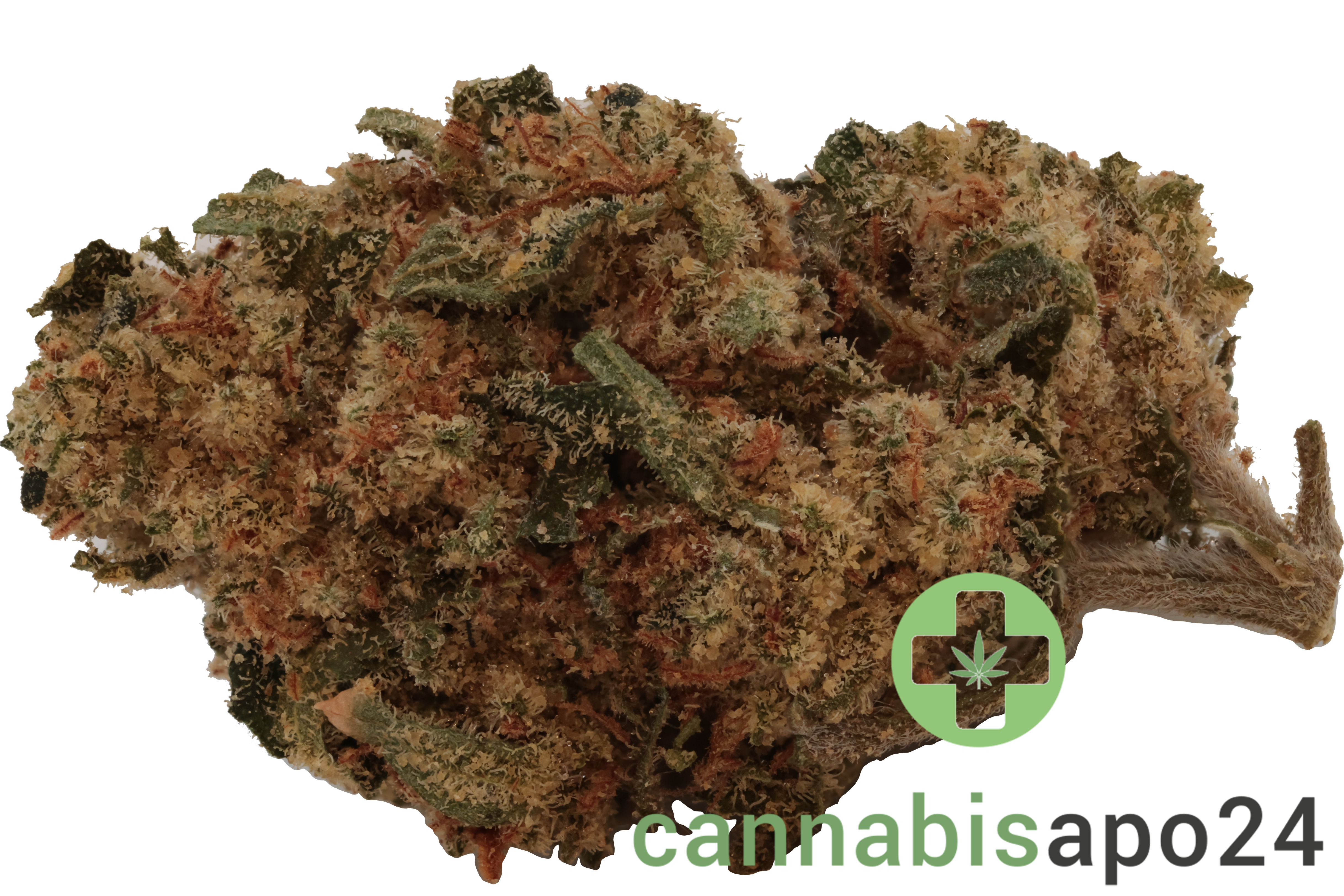 Tilray Craft THC25 BBD Blueberry Donuts 29