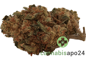 Tilray Craft THC25 BBD Blueberry Donuts 29