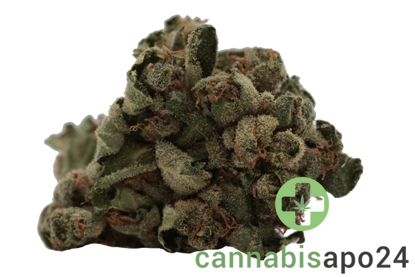 Tilray THC15 Spotlight Porto - Black Tuna