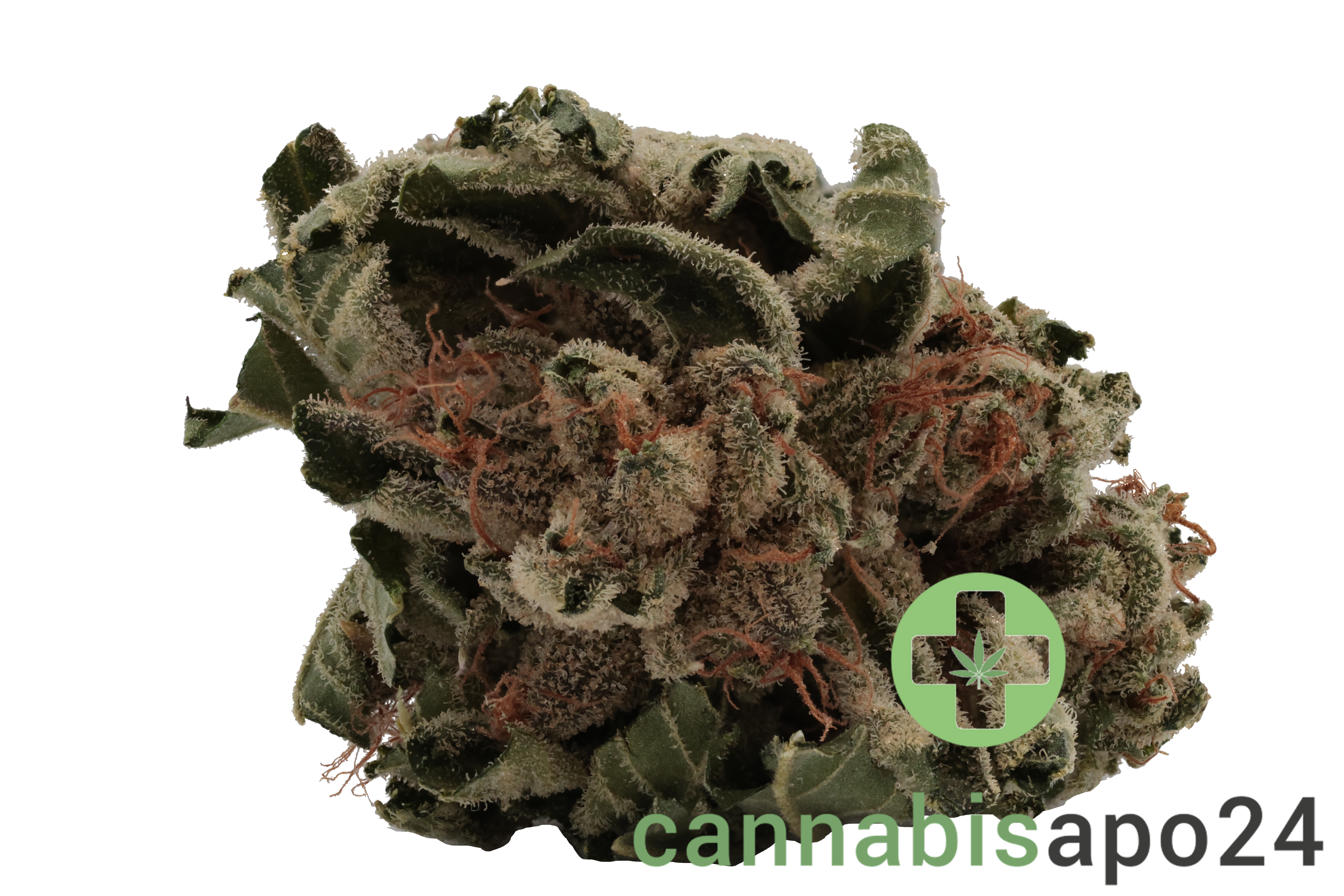 Tilray THC15 Spotlight Porto Pink Kush
