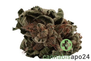 Tilray THC15 Spotlight Porto Pink Kush