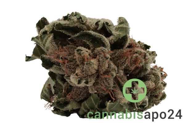 Tilray THC15 Spotlight Porto Pink Kush