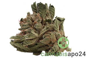 Tilray THC15 Spotlight Porto Sirius