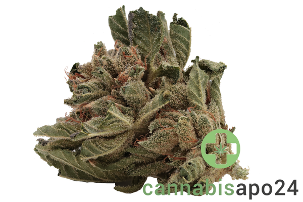 Tilray THC15 Spotlight Porto Sirius