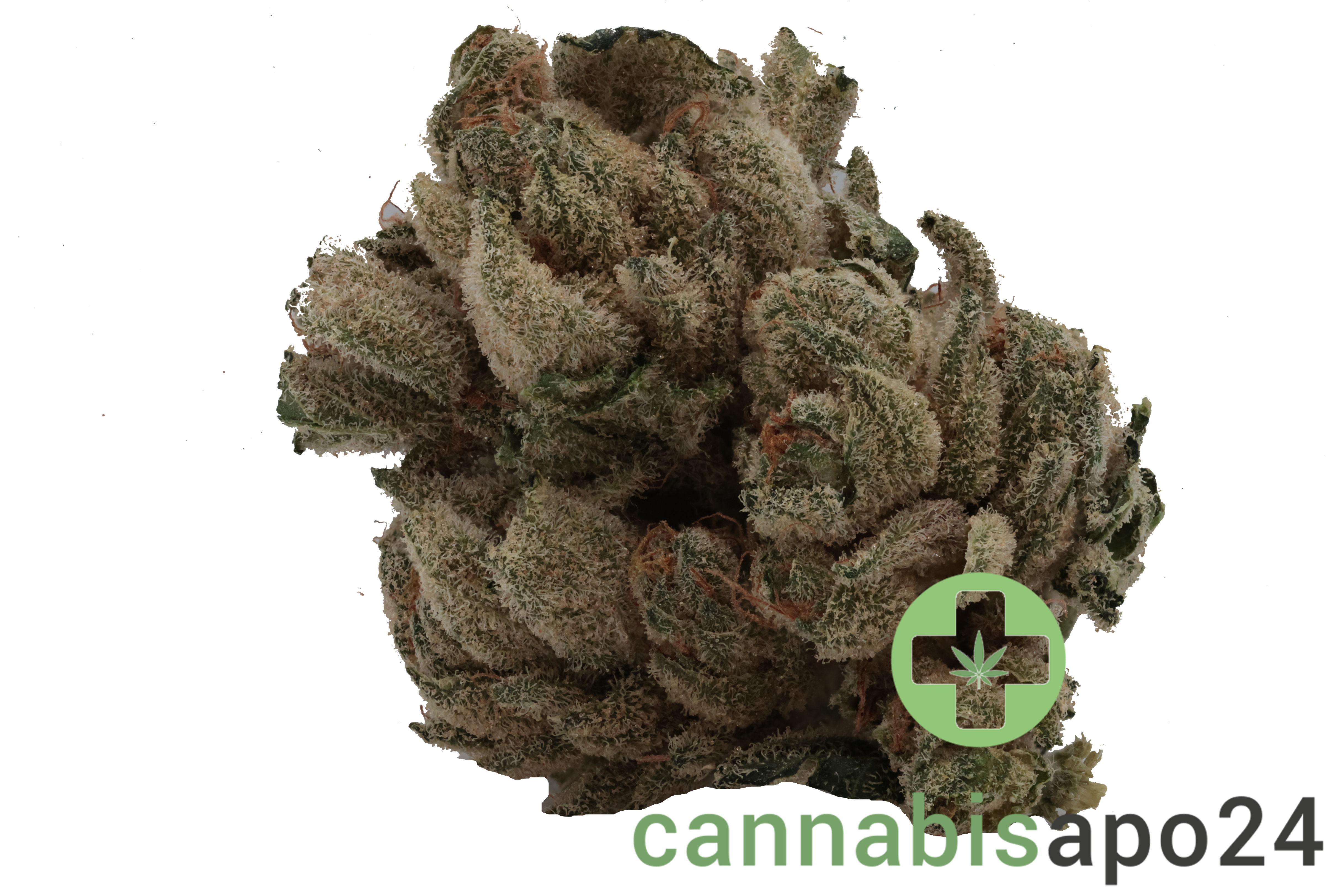 Tilray THC18 Spotlight Porto - Frosted Cherry Cookies