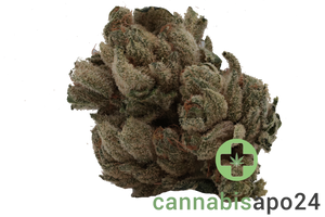 Tilray THC18 Spotlight Porto - Frosted Cherry Cookies