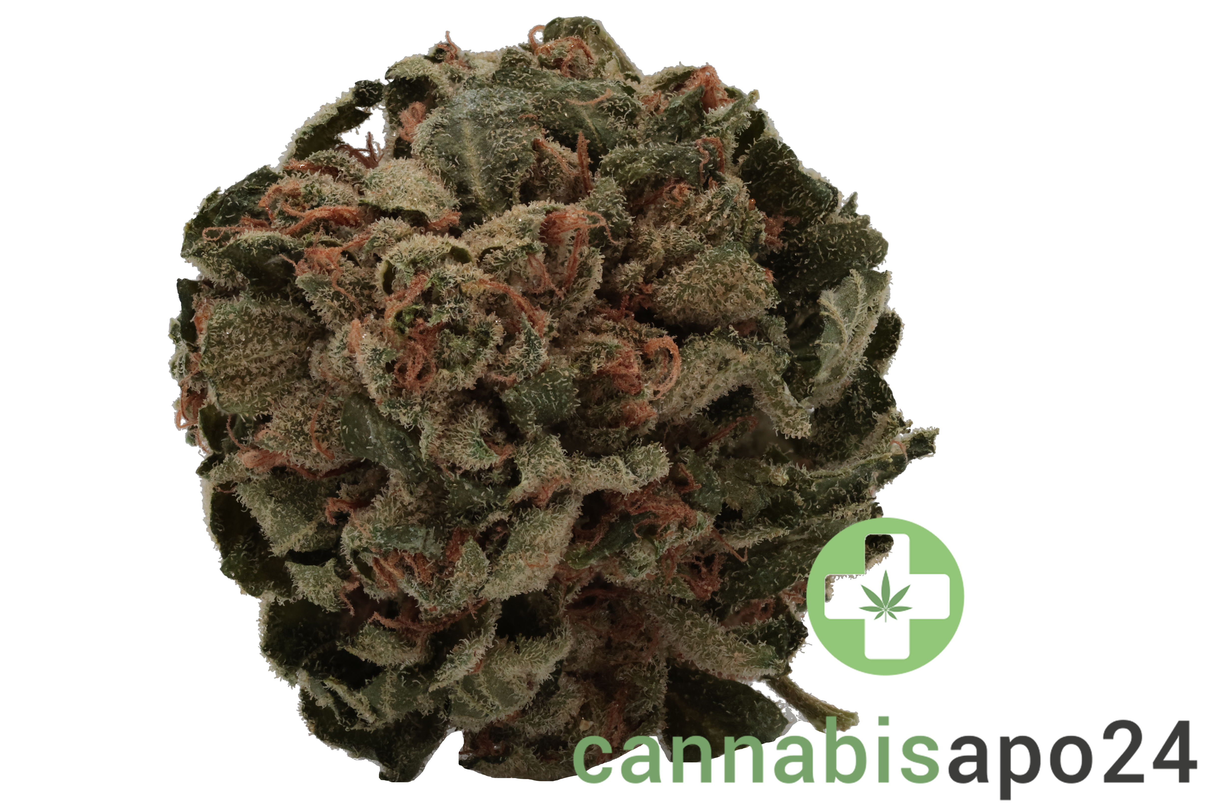 Tilray THC18 Spotlight Porto - Galaxy Walker OG