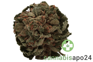 Tilray THC18 Spotlight Porto - Galaxy Walker OG