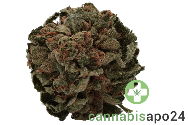 Tilray THC18 Spotlight Porto - Galaxy Walker OG