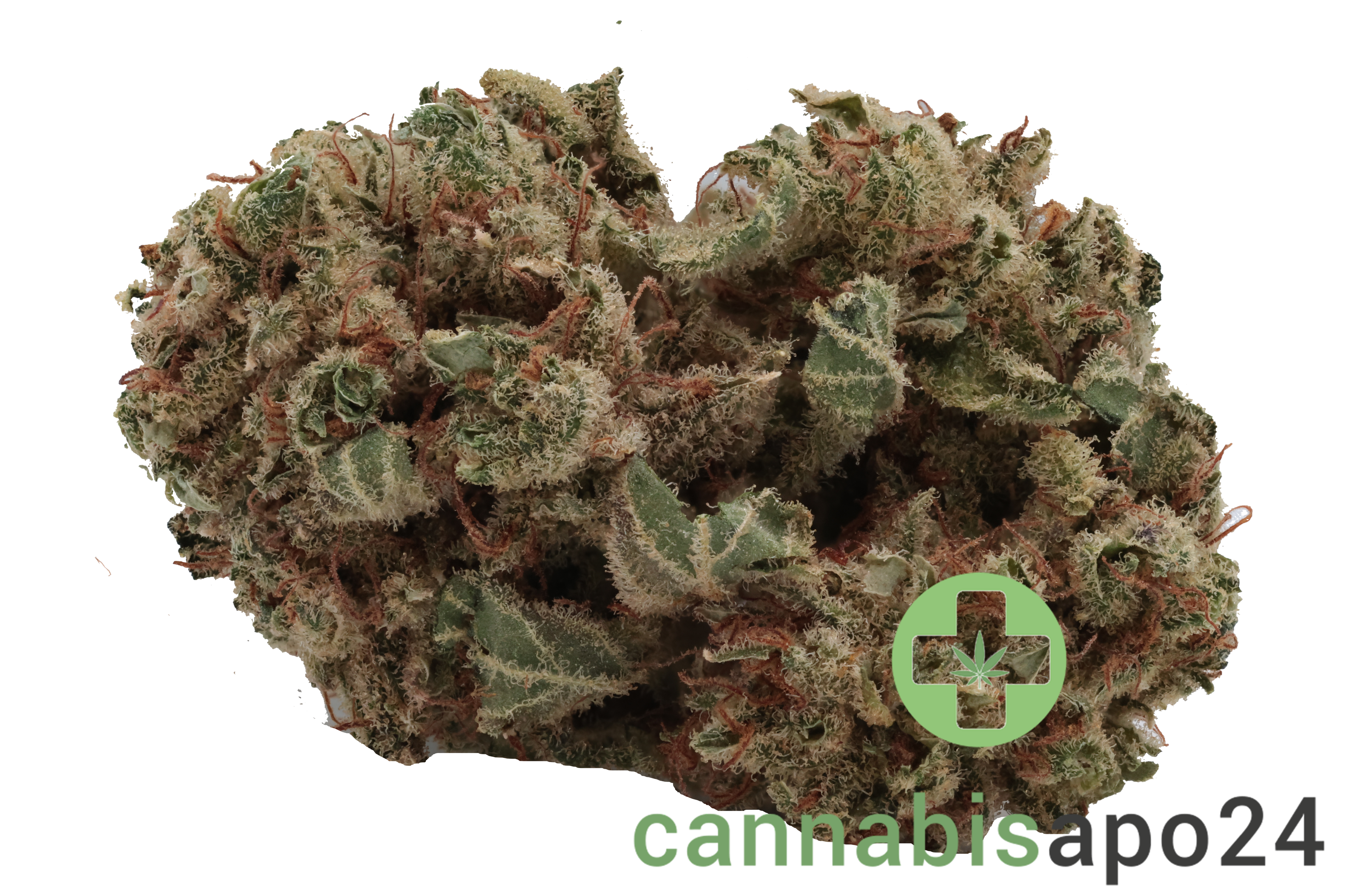 Tilray THC18 Spotlight Porto - Lilac Diesel