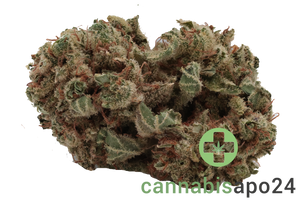 Tilray THC18 Spotlight Porto - Lilac Diesel