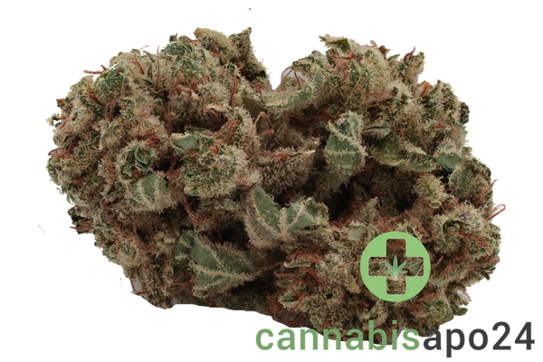 Tilray THC18 Spotlight Porto - Lilac Diesel