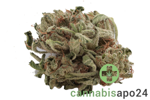 Tilray THC18 Spotlight Porto - Master Kush