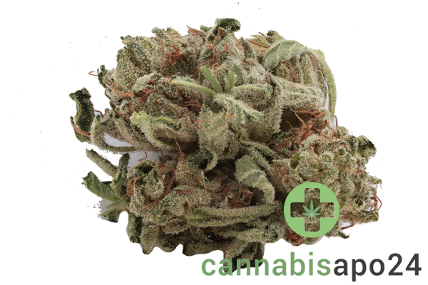 Tilray THC18 Spotlight Porto - Master Kush