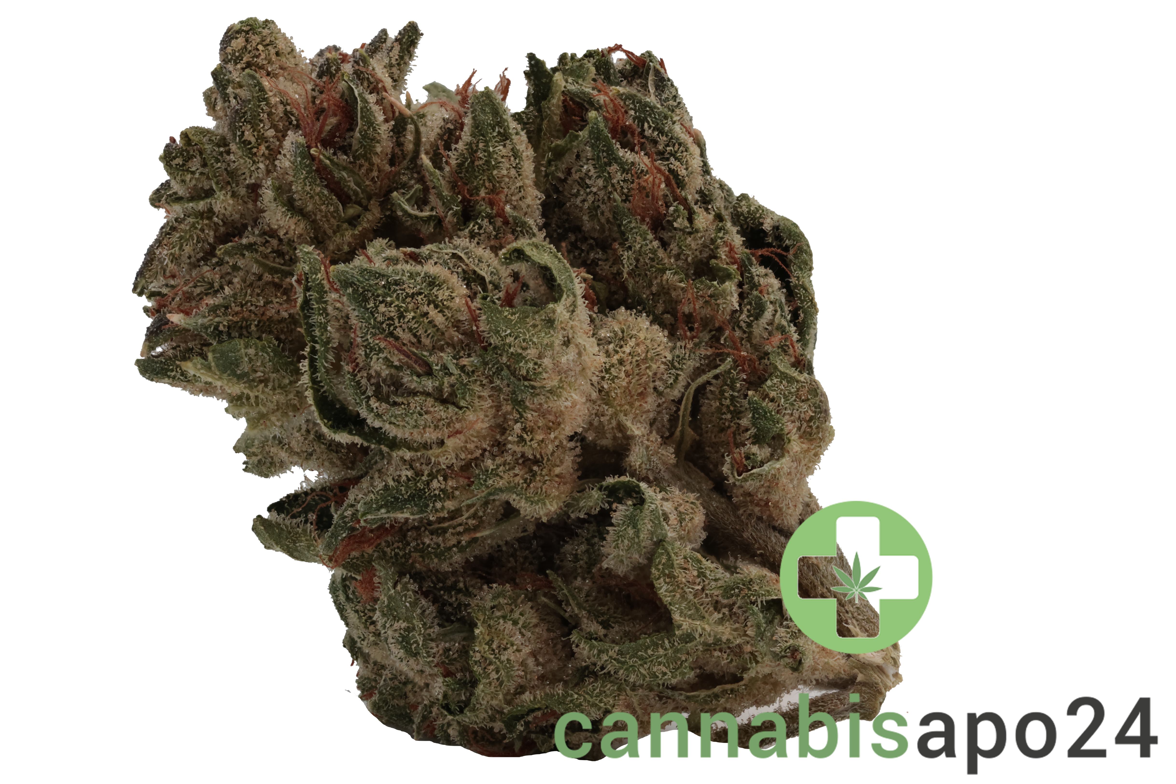 Tilray THC18 Spotlight Porto Sirius