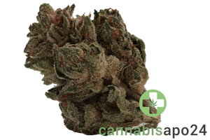 Tilray THC18 Spotlight Porto Sirius