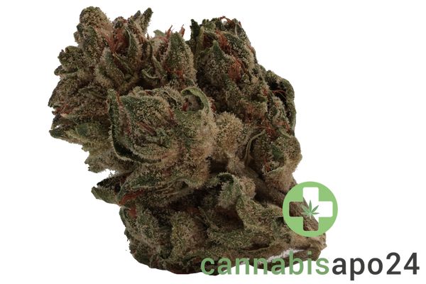 Tilray THC18 Spotlight Porto Sirius