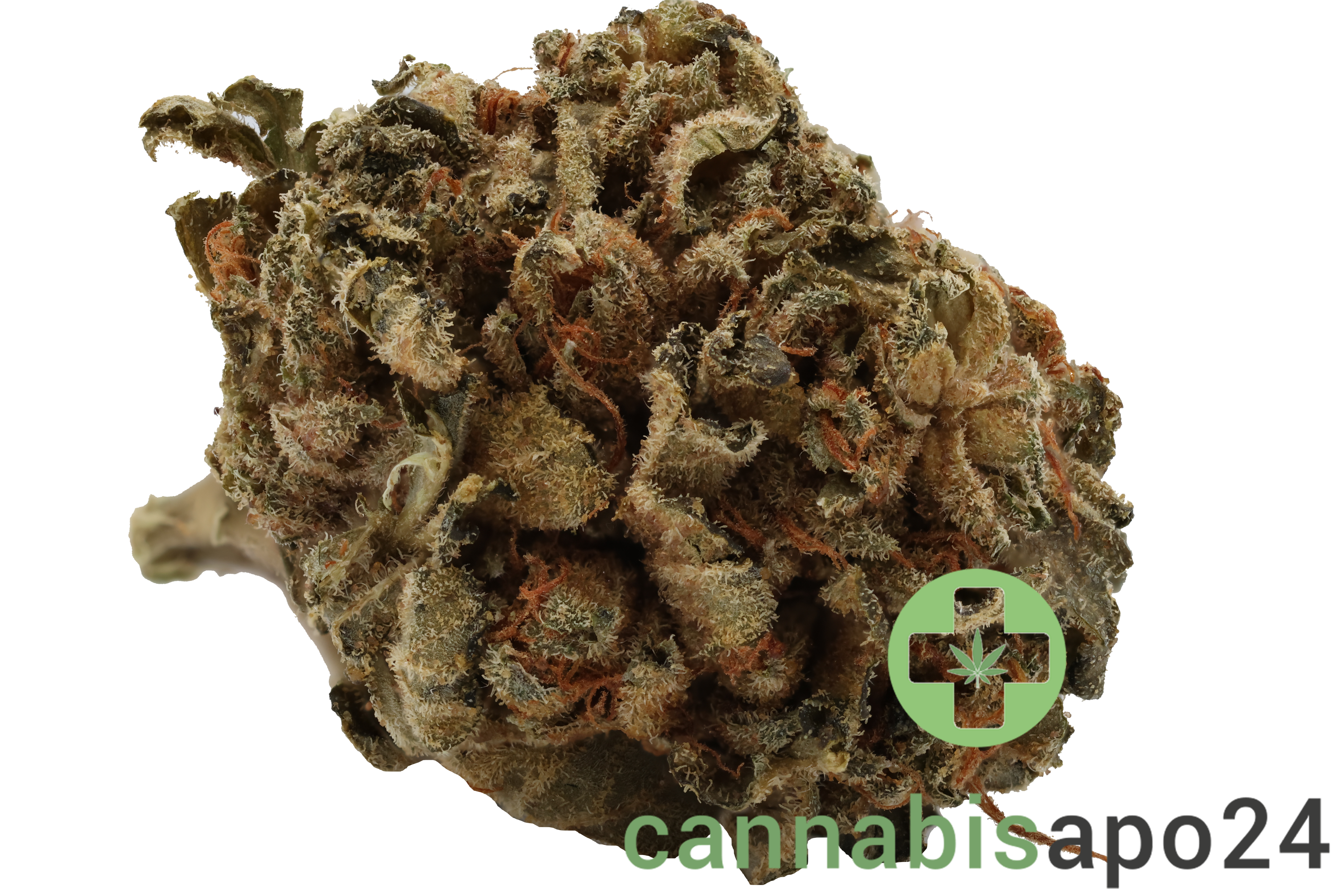 Tilray THC22 Spotlight Porto -  Galaxy Walker OG