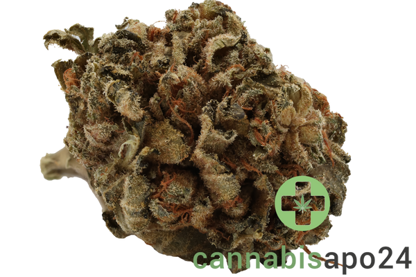 Tilray THC22 Spotlight Porto -  Galaxy Walker OG