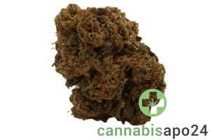 Tilray THC22 Spotlight Montevideo - Purple Dog Bud