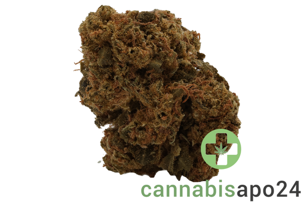 Tilray THC22 Spotlight Montevideo - Purple Dog Bud