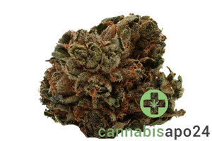 Tilray THC22 Spotlight Porto Pink Kush