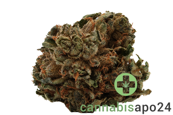 Tilray THC22 Spotlight Porto Pink Kush
