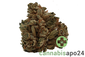 Tilray THC22 Sativa No 2 - Headband