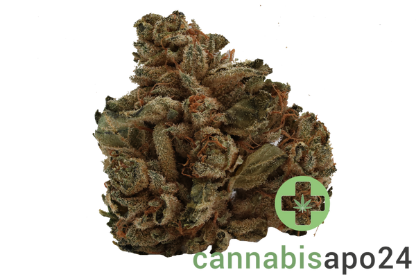 Tilray THC22 Sativa No 2 - Headband