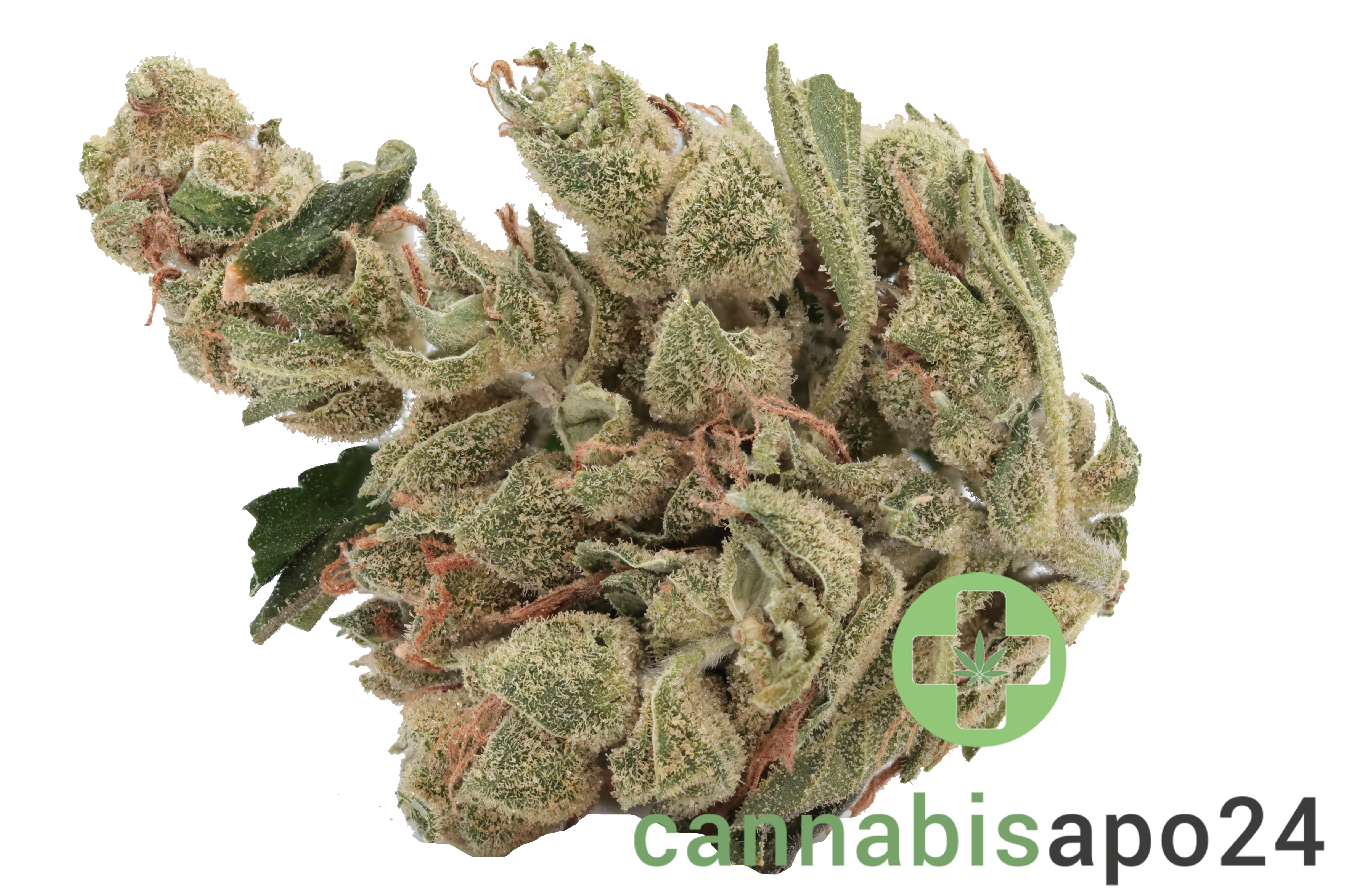 Tilray THC22 Spotlight Porto - Sour Diesel