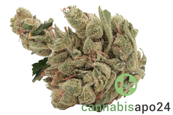 Tilray THC22 Spotlight Porto - Sour Diesel