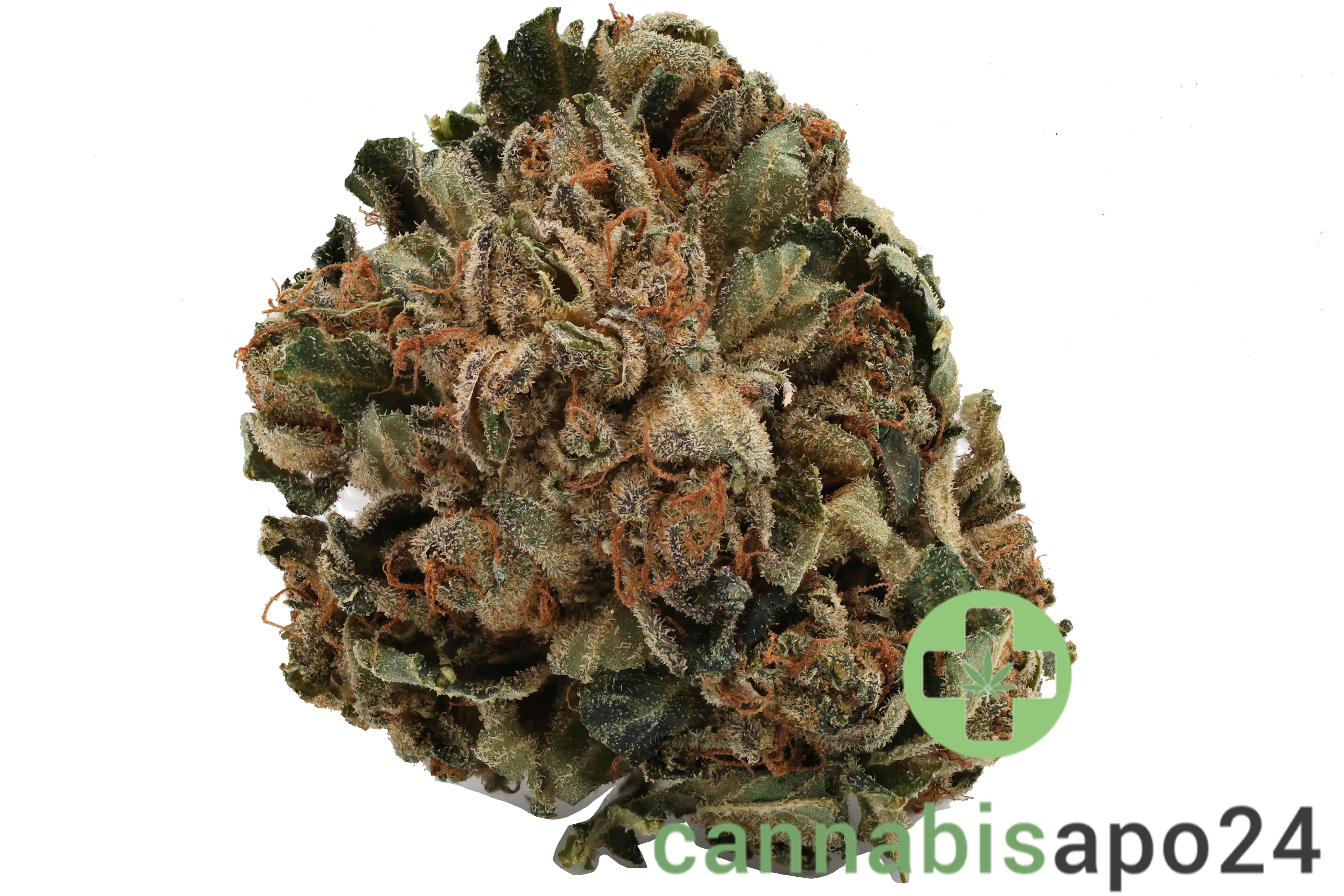 Tilray THC22 Spotlight Porto Purps