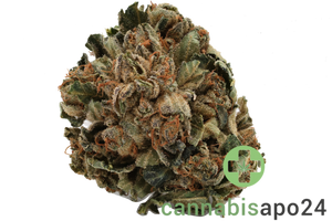 Tilray THC22 Spotlight Porto Purps