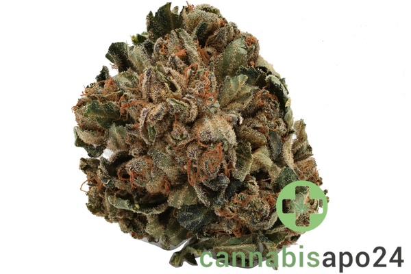 Tilray THC22 Spotlight Porto Purps
