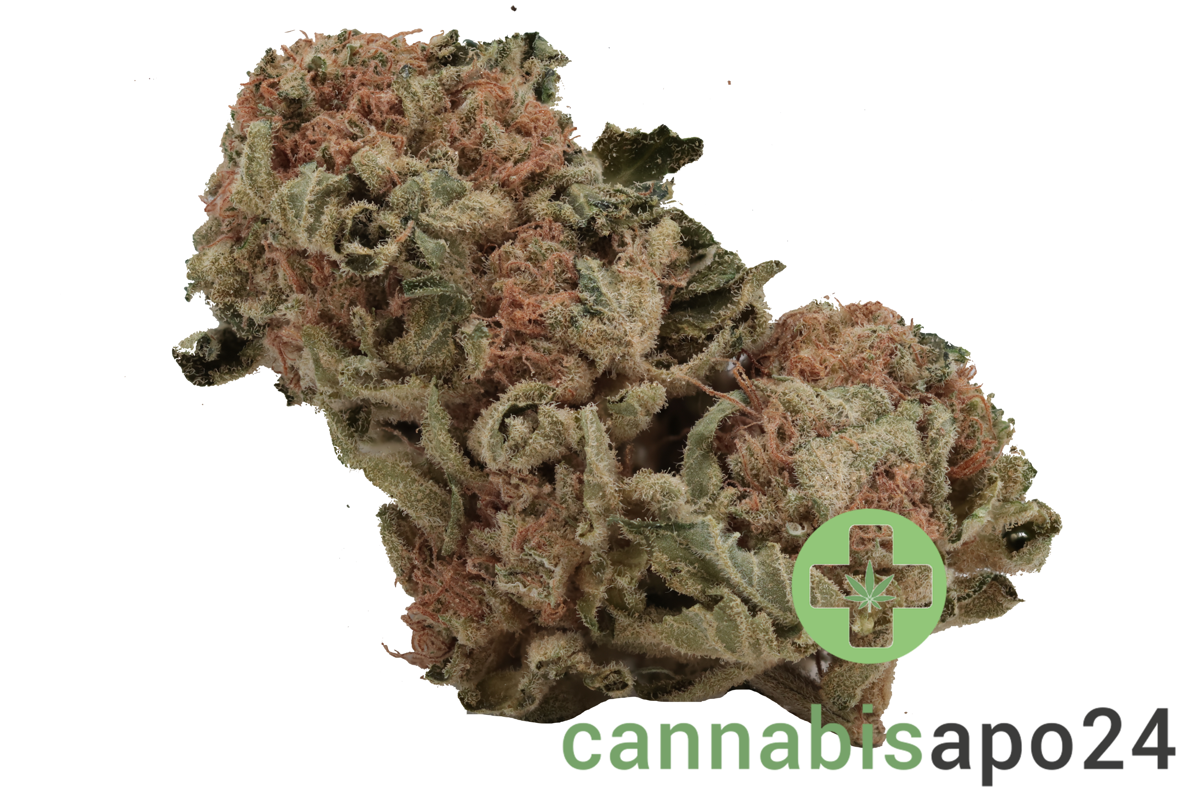 Tilray THC22 Spotlight Porto - White Widow