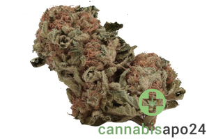 Tilray THC22 Spotlight Porto - White Widow