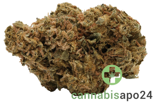 Tilray THC25 Spotlight Montevideo - Purple Dog Bud